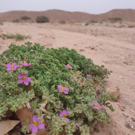 Desert Path Be'er Ora Экстерьер фото