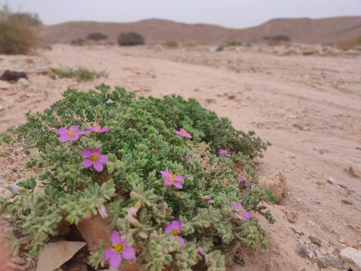 Desert Path Be'er Ora Экстерьер фото