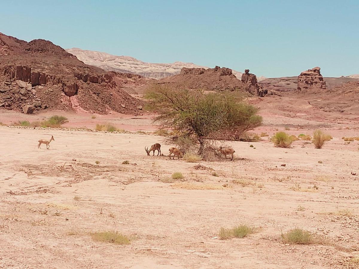 Desert Path Be'er Ora Экстерьер фото